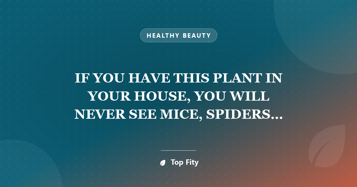 IF YOU HAVE THIS PLANT IN YOUR HOUSE, YOU WILL NEVER SEE MICE, SPIDERS AND OTHER INSECTS AGAIN!